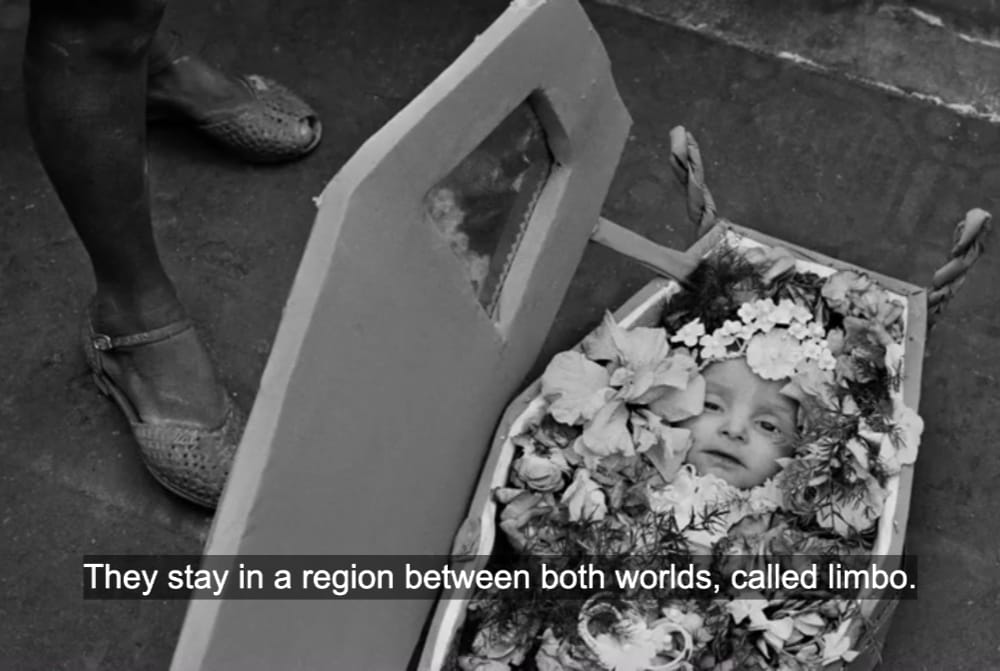 The Salt of the Earth, 2014