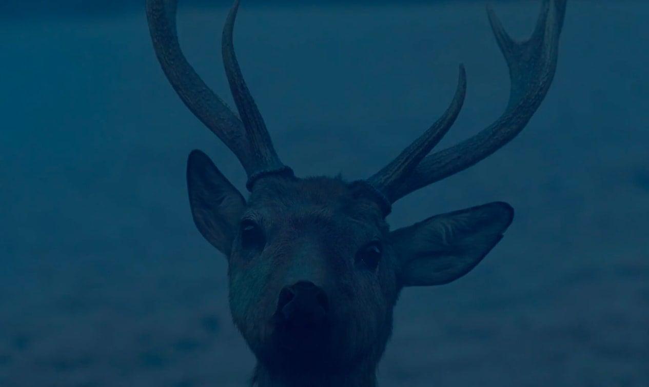 Evil Does Not Exist, 2023