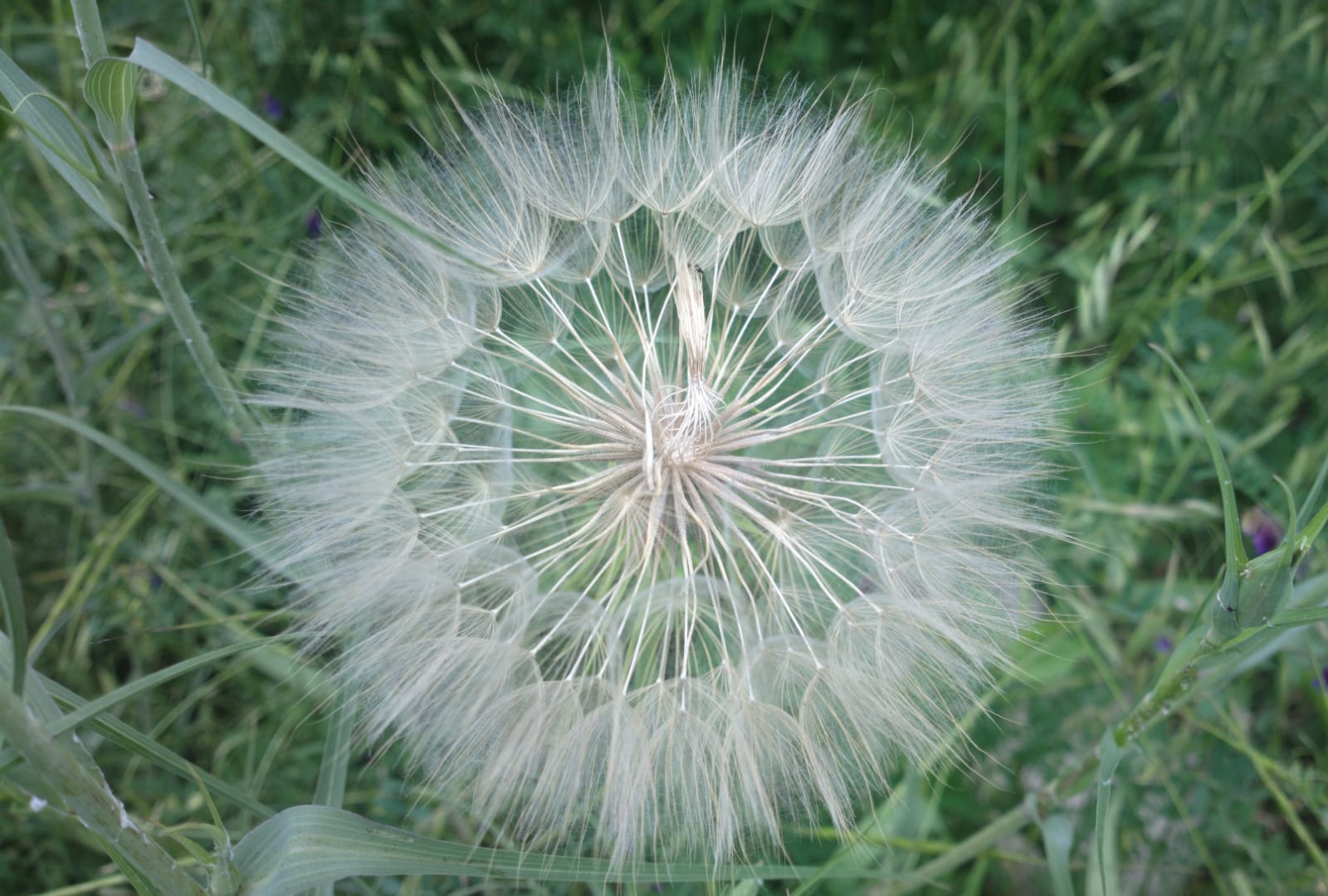 Nokia 808 PureView photo