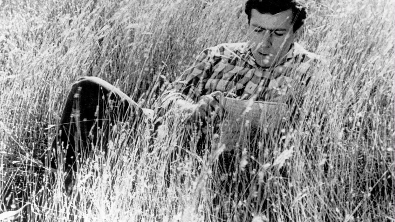 Once Upon a Time There Was a Singing Blackbird