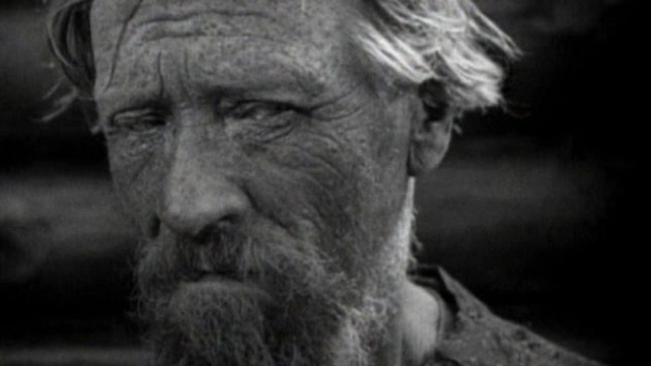 The End of St. Petersburg